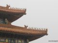 img_0175
