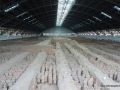 Esercito di terracotta - Patrimonio dell'UNESCO